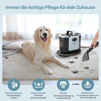 Olvy Teppichreiniger PRO 1650W – Nasssauger mit 100°C Dampf